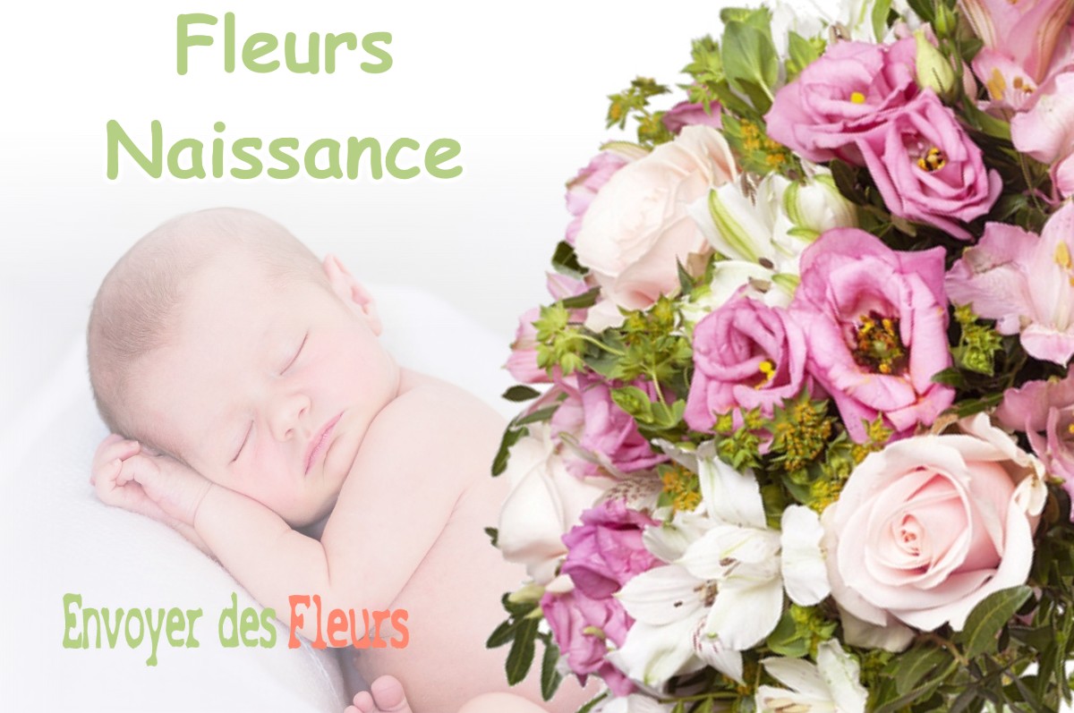 lIVRAISON FLEURS NAISSANCE à MONTFORT-EN-CHALOSSE